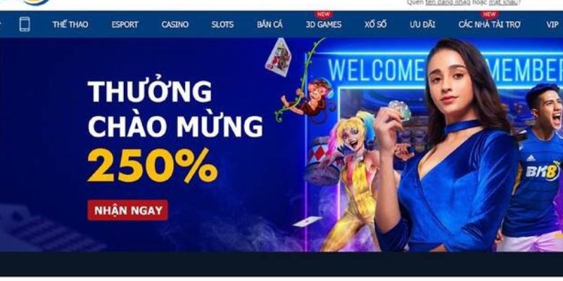 Lý do bet thủ cần tham gia chơi game tại nhà cái BK8 